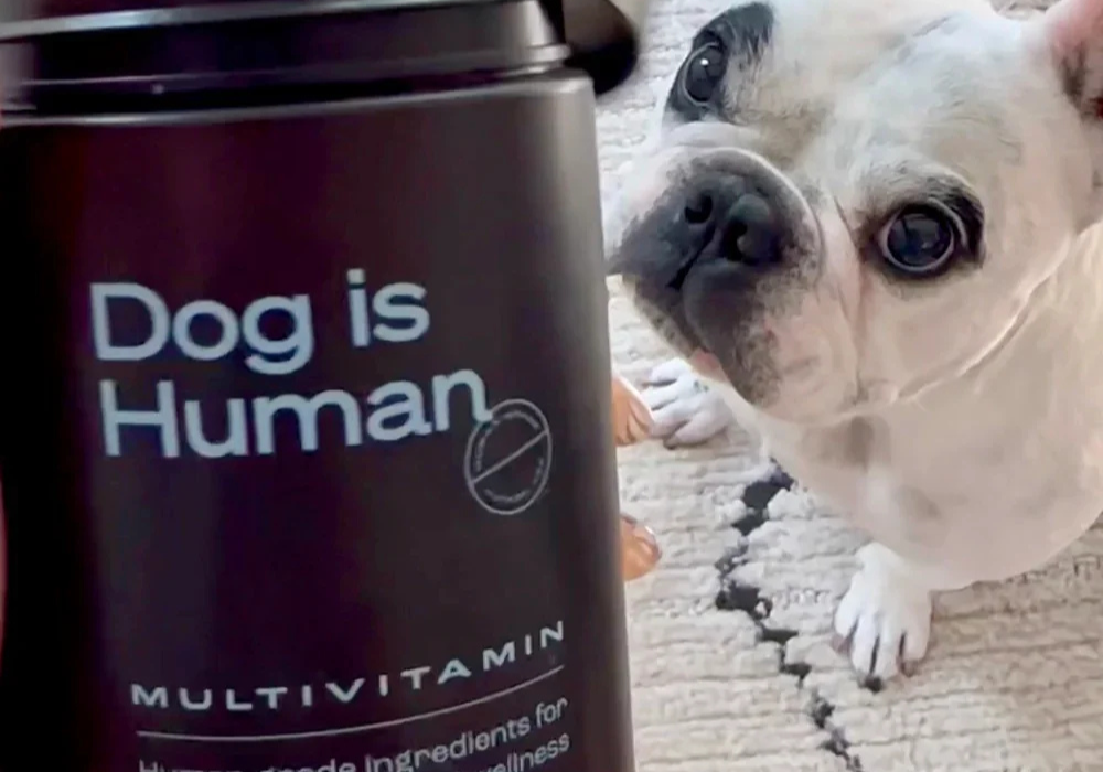 Full Founder Case Study: Dog is Human